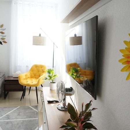 Mein Apartment Flowers Mit Kamin, Bis 10 Personen 프랑켄탈 외부 사진