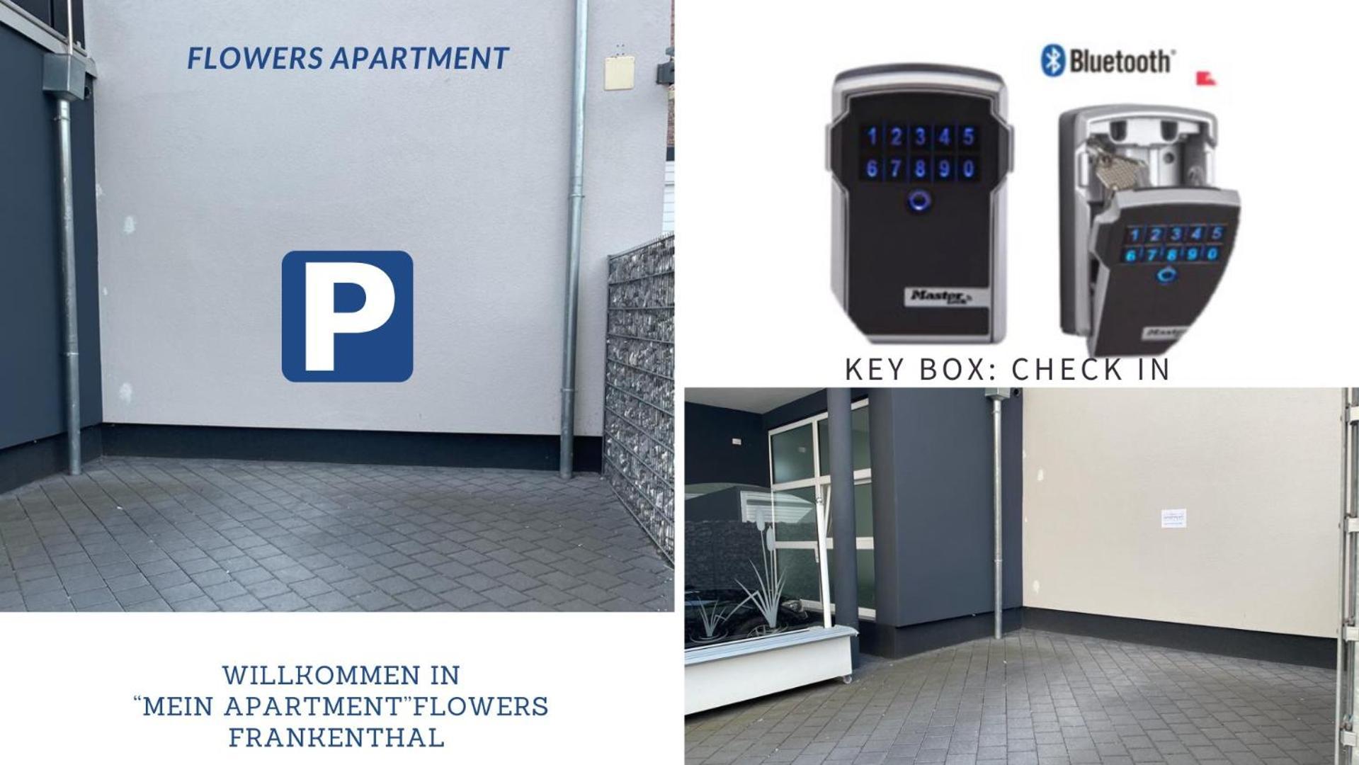 Mein Apartment Flowers Mit Kamin, Bis 10 Personen 프랑켄탈 외부 사진